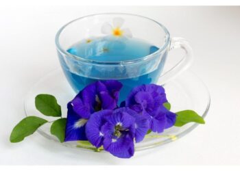 کلیه و روده های خود را با این گیاه نجات دهید