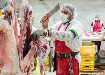 قیمت رسمی گوشت در بازار اعلام شد