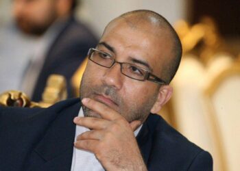 رزومه و اقدامات اجرایی دکتر هادی گرجی