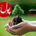 «درخت» آموزگار راه و رسم انسانیت